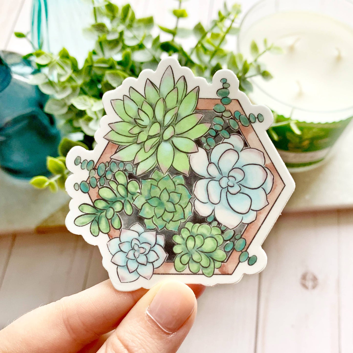 Succulent Sticker